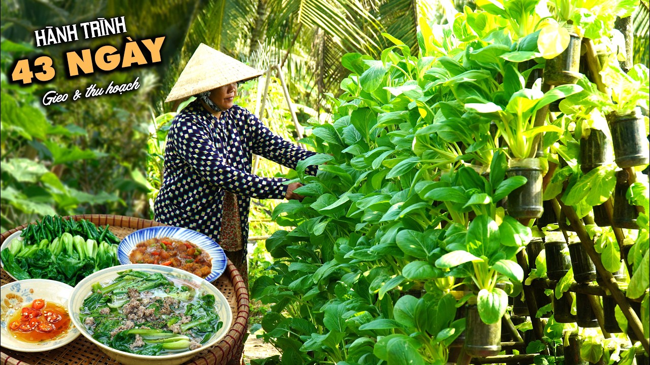 Thịt kho quẹt rau luộc - Hành trình 43 ngày từ lúc gieo trồng đến thu hoạch